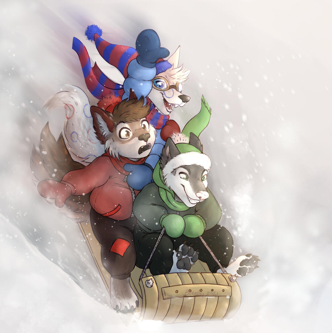 Sledding